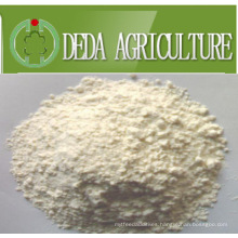 Rice Protein Meal Animal Feed Powder